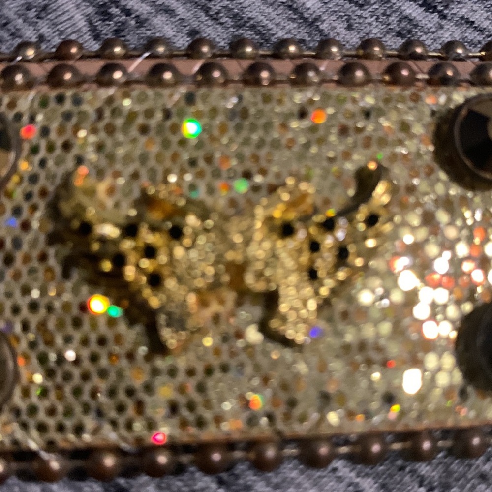 DNA belt - Picture 2 of 2